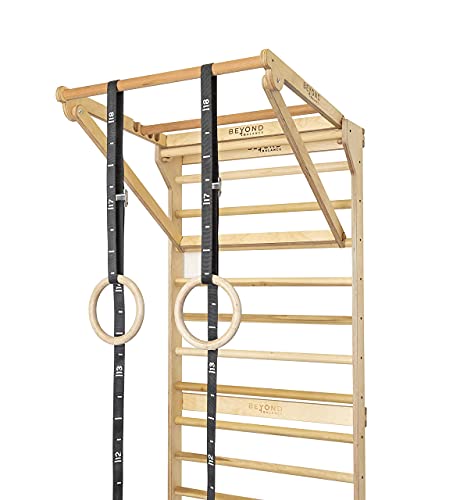 Beyond Balance Personal Training Station: Swedish Ladder Stall Bars with Adjustable Pull-Up Dip Bar Attachment
