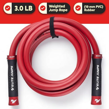 Muay Thai 3.0 Weighted Jump Rope for Men & Women - Professionally Designed for High-Intensity Training | Muay Thai, MMA & Fitness Jump Rope - Full Body Workout Weighted Rope - color: Silver