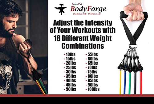 BodyForge Resistance Bands, Exercise Bands, Resistance Bands for Working Out, Work Out Bands with Handles for Men and Women Fitness, Strength Training Home Gym Equipment - size: 1 Pack