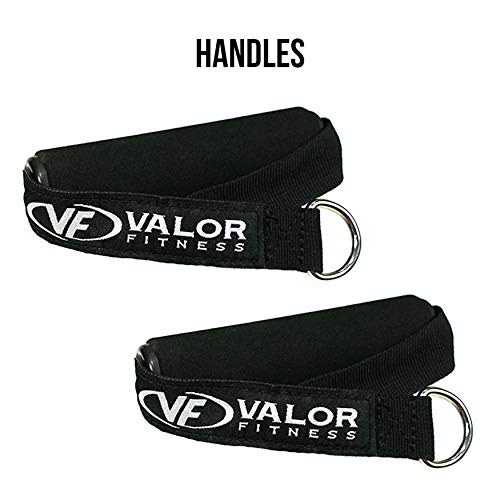 Valor Fitness Resistance Bands with Handles Set, Stackable Exercise Tube Bands for Home Gym Workouts, Strength & Mobility Training, Physical Therapy - Includes Door Anchor, Ankle Straps and Carry Bag