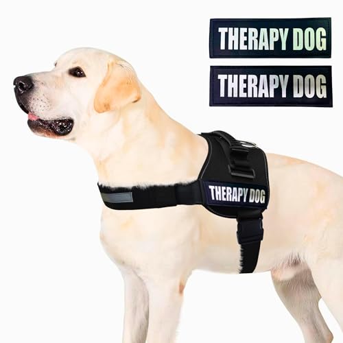 Reflective Therapy Dog Vest Harness, Woven Nylon, Adjustable Service Animal Jacket, with 2 Hook and Loop Therapy Dog Removable Patches. Black, Medium - color: Black, size: M 24''- 30'' Girth