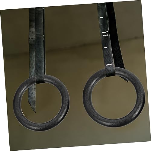 GANAZONO 2pcs Adjustable Gymnastics Rings Set for Home Fitness for Upper Body Strength Training and Calisthenics