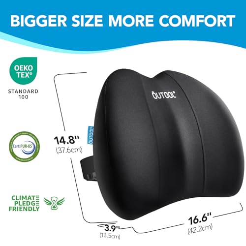 Lumbar Support Pillow for Office Chair, Office Home Essentials,Gifts for Mom,Dad, Back Support Pillow for Car, Chair Cushions,Back Pain Relief Improve Posture,Mesh Cover Double Adjustable Straps