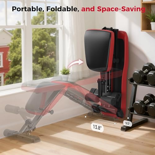 FLYBIRD Adjustable Weight Bench, Full Body Workout Bench for Home Garage Gym Strength Training, Incline Flat Decline for Sit Up Bench Press - color: C-FB299