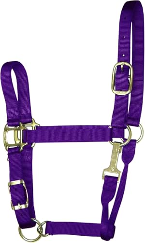 Hamilton Quality Horse Halter, 1" Triple Ply Nylon, Adjustable Chin Strap, Easy On/Off Throat Snap, Large Horse or 2 Year Old Draft, 1100-1600 lbs, Purple - color: Purple, size: Large, 1100-1600lbs