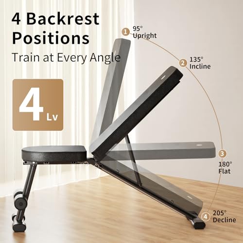 Adjustable Weight Bench for Home Gym, Stable Folding Workout Bench for Dumbbell & Full Body Strength Training