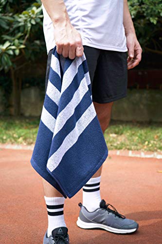 Luzia Striped Workout Towel for Sweat (Pack of 2) - Premium Quality 100% Turkish Cotton - Lightweight and Super Absorbent for Exercise, Sports, Workout, Fitness, Gym, Yoga, Running (Blue)
