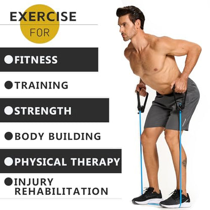 Professional Resistance Bands. Latex-Free, Work Out Bands, Stretch Bands for Working Out Women or Men, Exercise Bands Set for Physical Therapy (with Handle)
