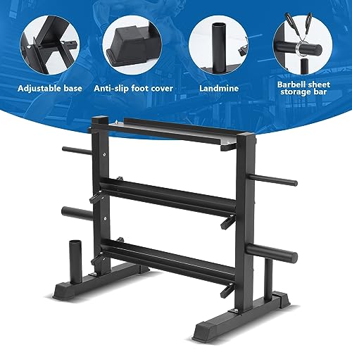 Adjustable Dumbbell Rack, Dumbbell Set with Storage Rack for Kettlebells, Weight Organizer Stand, Weight Rack, Kettlebell Rack