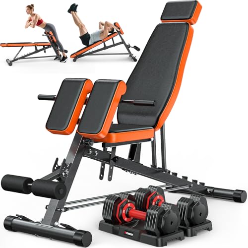 XDDIAS Roman Chair, Adjustable Weight Bench Back Extension Machine for Home Gym, 1000LBS All-in-One Sit Up Bench with Dumbbell Rack, Incline, Decline, and Flat Bench for Hyperextension, Core, Glute