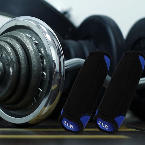 Soft Dumbbells 2lb Pair Portable Hand Weights for Running Fitness Training Blue Sandbag Arm Exerciser Home Workout Equipment