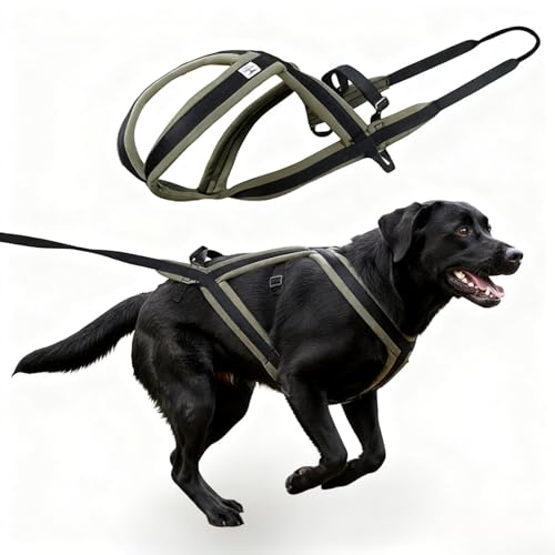 Weight Pulling Dog Harness for Dogs - Dog Pulling Harness for Sled & Running Training (Forest Green,L)