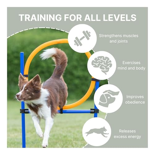 TRIXIE Dog Agility Ring, Portable Dog Hoop, Obstacle Course Equipment, Obedience Training