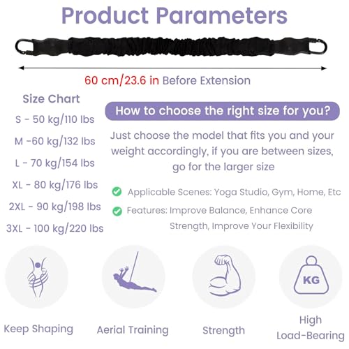 JYHHCYS Bungee Fitness Equipment Set Plus Size, Heavy Duty Aerial Yoga Resistance Rope for Home Gym Training & Fitness, Indoor Bungee Jumping Harness(Full Set 3XL - 220 lbs/100kg)