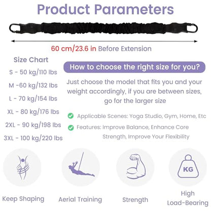 JYHHCYS Bungee Fitness Equipment Set Plus Size, Heavy Duty Aerial Yoga Resistance Rope for Home Gym Training & Fitness, Indoor Bungee Jumping Harness(Full Set 3XL - 220 lbs/100kg)
