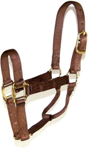 Hamilton Quality Horse Halter, 800-1100 lbs, Brown - color: Brown, size: Average, 800-1100lbs