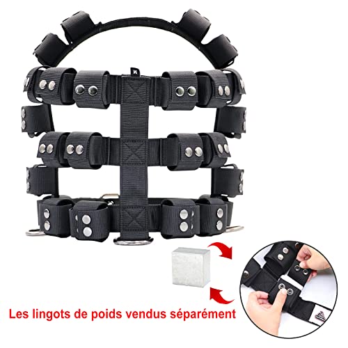 Dog Harness for Small Medium Large Dogs No Pull, Dog Weighted Vest, Tactical Dog Harness for Pit Bulls with Pockets (Adjustable Weight) - Weight Loss, Exercise, Walking, Muscle