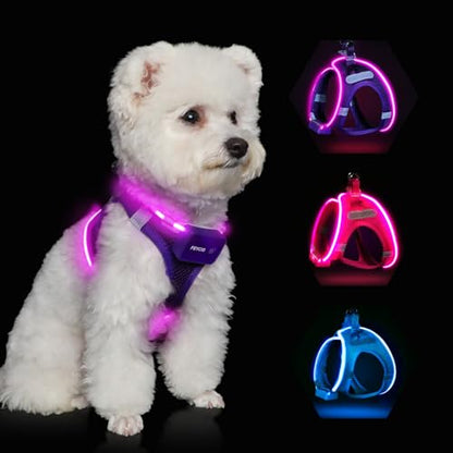 Light Up Dog Harness, Rechargeable LED Dog Harness for Small Medium Dogs - color: Purple, size: XS