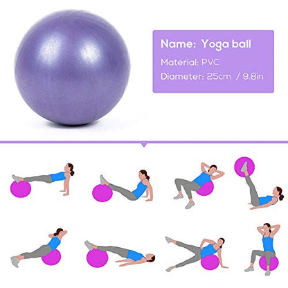 MoldFun Mini Yoga Pilates Ball 10 Inch for Stability Exercise Training Gym Anti Burst and Slip Resistant Balls with Inflatable Straw - color: Purple