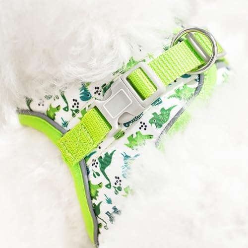 Step in Dog Harness and Leash Set, Flower Adjustable Easy Walk Puppy Harnesses, Soft Mesh Pet Vest Harness Small Size Dog Adjustable No Pull Dog Harness for Small Dogs and Cats(Dinosaur1, XS)
