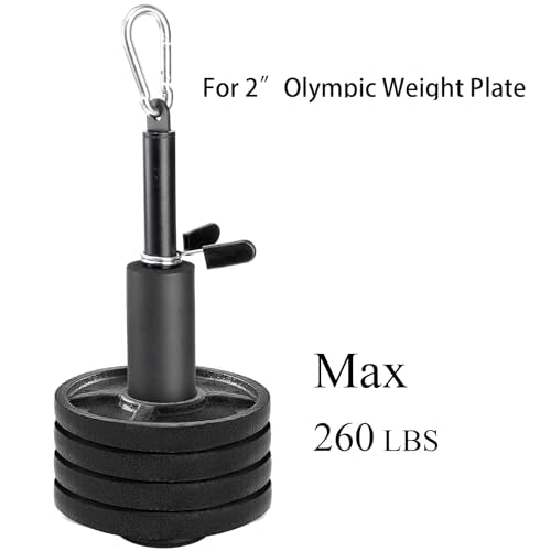 Weight Loading Pin for 1 Inch Standard and 2 Inch Weight Plate, Loading Pin with Heavy Duty Carabiner for Cable Pulley System LAT Pulldown Home Gym Workout Equipment