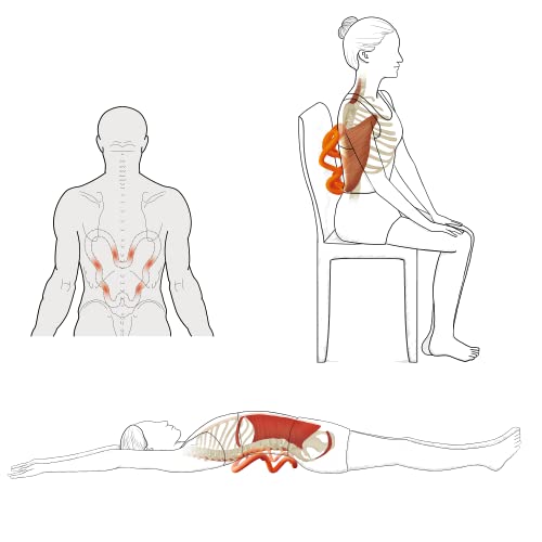 Deep Trigger Point Myofascial Release Tool –Back, Shoulder Blade & Hip Flexor Massager for Scapular Pain, Upper-Back Stiffness, Levator Scapulae Tightness, Psoas & Pelvic Muscle Relief