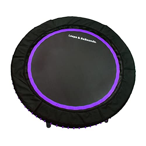 LEAPS & REBOUNDS 48" Adjustable Stability Bar Attachment with 48" Mini Fitness Trampoline and Home Gym Rebounder for Cardio Exercises, Purple