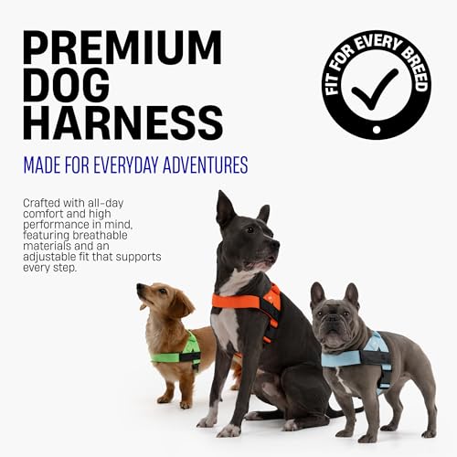 Dog Friendly Co. Dog Harness | Chafe Resistant Webbing, Adjustable Neck & Chest, and Heavy Duty D-Ring | Sturdy, Comfortable, Easy to Use | Green Camo, Size L
