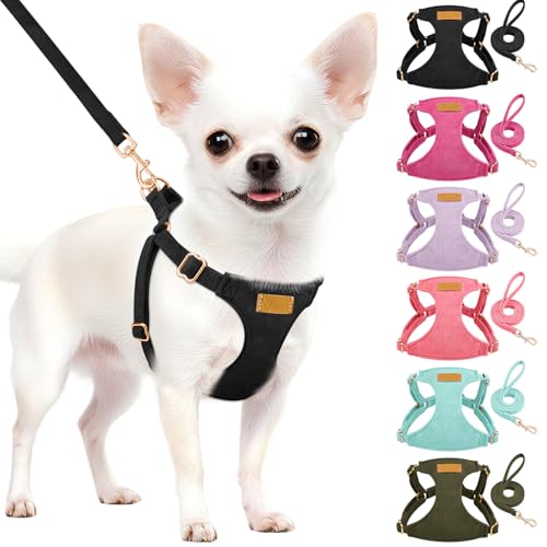 Lukovee No Pull Small Dog Harness and Leash Set - Adjustable Lightweight Soft Puppy Vest, Step-in Pet Harness with 49in Leash for Daily Walking Small Medium Dogs (Black, XS) - color: Black, size: X-Small (4.5-11 lb)