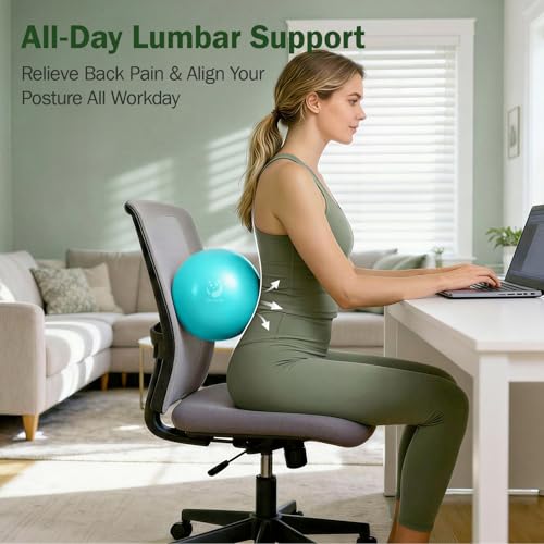 Slim Panda Pilates Ball, 9 Inch Small Exercise Ball, Anti Burst Mini Yoga Ball for Stability, Workout, Barre, Core Strength, Physical Therapy, Balance, Stretching