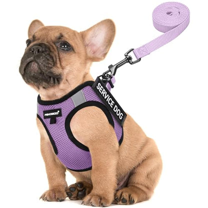 Service Dog Vest for Small Breed - Lightweight Dog Harness with 6PCS Removable Patches - Puppy Harness and Leash Set for Walking,Training