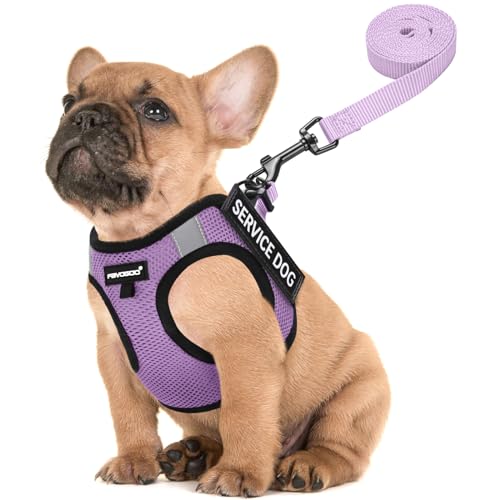 Service Dog Vest for Small Breed - Lightweight Dog Harness with 6PCS Removable Patches - Puppy Harness and Leash Set for Walking,Training