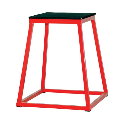 Champion Sports Welded Steel Plyo Box - 24" H