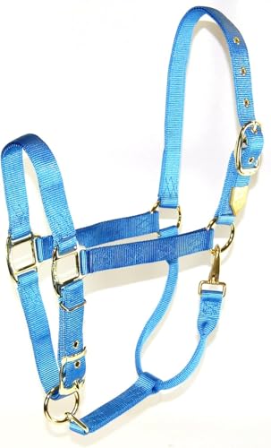 Hamilton Quality Horse Halter, 1" Triple Ply Nylon, Average Horse, Arabian, or Yearling Draft, 800-1100 lbs, Berry Blue - color: Berry Blue, size: Average, 800-1100lbs