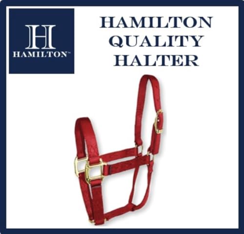 Hamilton Quality Horse Halter, 800-1100 lbs, Berry Blue - color: Berry Blue, size: Average, 800-1100lbs