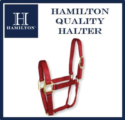 Hamilton Quality Horse Halter, 800-1100 lbs, Berry Blue - color: Berry Blue, size: Average, 800-1100lbs