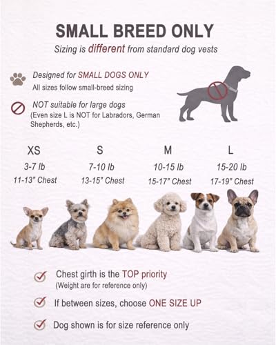Service Dog Vest for Small Breed Dogs with ID Tag – Lightweight Puppy Harness and Leash Set with 6 PCS Patches, Ideal Service Animal Vest for Training, Complete Service Dog Gear, Red, M