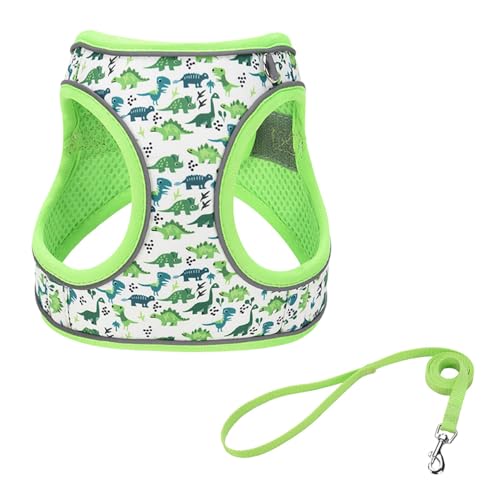 Step in Dog Harness and Leash Set, Flower Adjustable Easy Walk Puppy Harnesses, Soft Mesh Pet Vest Harness Small Size Dog Adjustable No Pull Dog Harness for Small Dogs and Cats(Dinosaur1, XS)