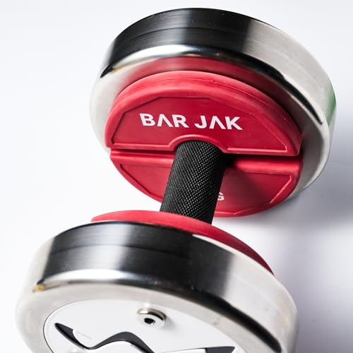 Micro Plates. 1 KG / 2.2 LBS Dumbell Fractional Weight Plate, x4 Pieces, Dumbell Weights, Kettlebell weights Training, Strength Training Micro Plates Weight Plate