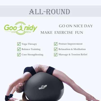 PL-0015 Soft Exercise Ball, Anti-Burst Yoga Ball Chair Supports 2200lbs PL-0015