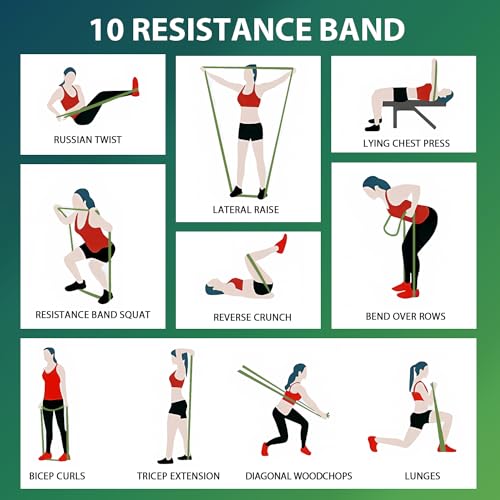 Pull Up Assistance Bands,Muit Levels Resistance Bands for Senior/Adults,Exercise Bands with Door Anchor, Strength Bands for Fitness Training, Physical Therapy,Home Gym Workouts