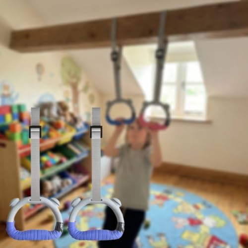 Adjustable Gymnastic Rings, Fitness Equipment, Stretching, Training, Non-Slip Home Rings for Physical Training - color: Gray Blue 2m