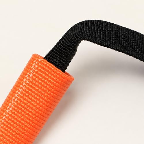 4m Steel Agility Ladder, Folding Soccer Training Equipment for Athletes, 10 Rung Steel Ladder with Storage