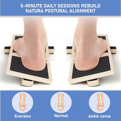 Ankle Balance Board for Stability & Strength – Foot & Ankle Trainer for Plantar Fasciitis Support, Sprained Ankle Recovery, Physical Therapy Equipment Kit with Exercise Book, Grip Sock & Carry Bag