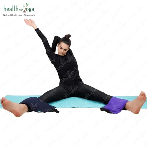 HealthAndYoga(TM) Yoga Sand Bags - Double Bag with Inner Waterproof Bag - Prop for Adding Weight and Support (Blue) - color: Blue