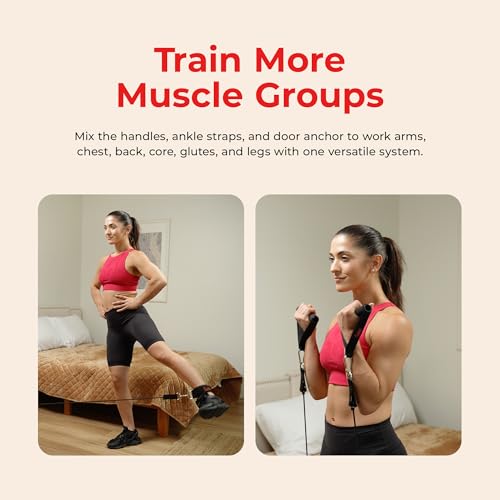 Sunny Health & Fitness Premium Resistance Band Set with Door Anchors, Wrist Straps, Handles Carry Bag Optional Padded Ankle Straps (Pair) for Strength Training, Booty Workout, Lower Body Exercises - style: NO. 089-COMBO