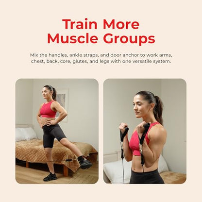 Sunny Health & Fitness Premium Resistance Band Set with Door Anchors, Wrist Straps, Handles Carry Bag Optional Padded Ankle Straps (Pair) for Strength Training, Booty Workout, Lower Body Exercises - style: NO. 089-COMBO