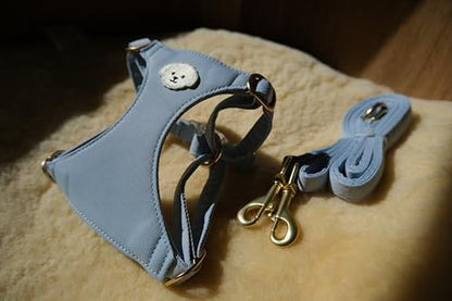 AetruffyPet 100% Cotton Dog Harness and Leash Set – Soft Breathable Vest for Small Dogs, Adjustable No-Choke Design, Lightweight Walking Set (XS/S/M) (Blue, XS) - color: Blue, size: XS