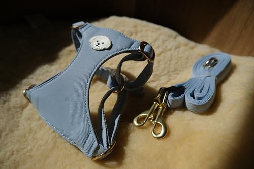 AetruffyPet 100% Cotton Dog Harness and Leash Set – Soft Breathable Vest for Small Dogs, Adjustable No-Choke Design, Lightweight Walking Set (XS/S/M) (Blue, S) - color: Blue, size: S
