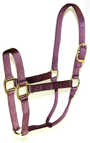 Hamilton Quality Horse Halter, 800-1100 lbs, Plum - color: Plum, size: Average, 800-1100lbs